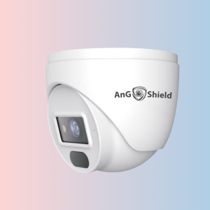 2MP IP FIX LENS  DOME  CAMERA (GAN2020DF)